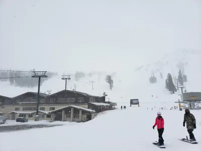 20190516_122856 (Large).jpg